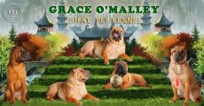 Грэйс О' Мэлли"/ "Grace O'Malley"